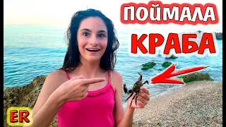 ПРИВАЛИЛИ ДЕНЬГИ АЛИСЕ ИЗИ / СОБИРАЮ ВЕЩИ НА МОРЕ /  ПОЙМАЛИ КРАБА / ГОТОВИМ ПОПКОРН / ИЗИРОЗА