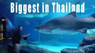 Biggest Aquarium in Thailand.