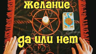 ДА НЕТ ТАРО ★ ГАДАНИЕ ОНЛАЙН ★ Коста Хайдер 🔥 Магия Таро