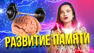 Хватит всё забывать! 3 простых упражнения для памяти и как вырастить гиппокамп в домашних условиях?