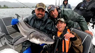 Columbia River Keeper Sturgeon