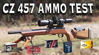 CZ 457 .22 Ammo Tests , Wolf, CCI , Norma , Federal , and Armscor