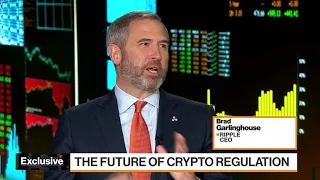 Ripple CEO Says SEC Suit Is 'Not Healthy' for Industry