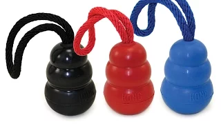 KONG with Rope Tug Toy for Dogs by Ray Allen Manufacturing