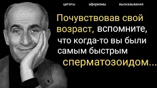 Мудрые Слова и Цитаты Луи Де Фюнес о Жизни и Людях!