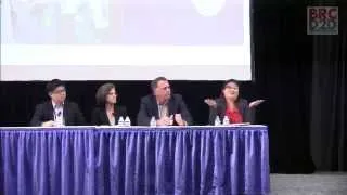 BRCD2D Panel 2014 - Smart Vision, Smart Glasses