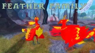 Phoenix showcase - feather family