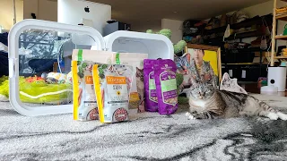 First Time Eating Freeze Dried Raw Cat Food 😻😻😻 3 top quality brands (2023) cat food eating reviews