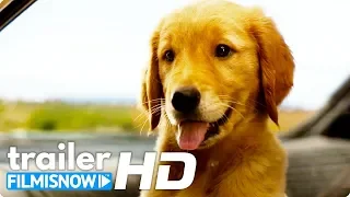 ATTRAVERSO I MIEI OCCHI (2019) | Trailer ITA della commedia con un Golden Retriever