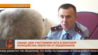 Свыше 1000 участников чата в Whatsapp полицейские уберегли от мошенников