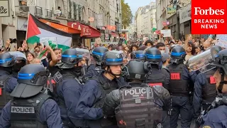 WATCH: Demonstrators Clash With French Police During Pro-Palestinian Protest In Paris