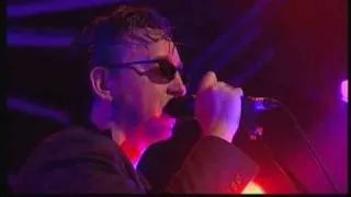 Richard Hawley - 08 Lady Solitude "Pro Shot" (Live At FIB Festival 08)