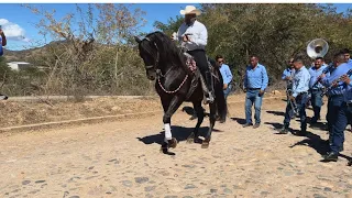 Cabalgata San Felipe de Híjar Jalisco 03 febrero 2024