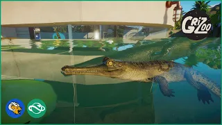 Building a Gharial Habitat in Planet Zoo 🐊 | Planet Zoo Franchise Mode | Speed Build