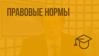 Правовые нормы. Видеоурок по обществознанию 10 класс