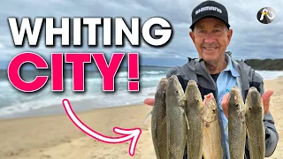 ULTRA-LIGHT Beach Fishing for WHITING! Epic Session ✅