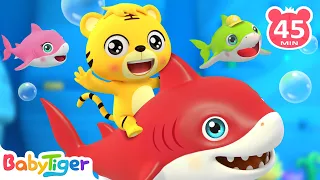 Baby Shark & Baby Tigers! + More Animal Songs & Nursery Rhymes - BabyTiger