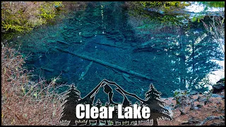 Clear Lake: The Underwater Forest, Oregon