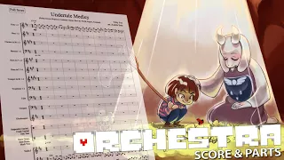 Undertale: Medley | Orchestral Cover