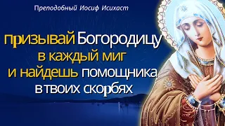 «Все pадyются, а почемy же y меня печаль?» - преподобный Иосиф Исихаст