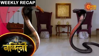 Nandini - Weekly Recap | 14 - 20 Feb 2021 | Sun Bangla TV Serial | Bengali Serial