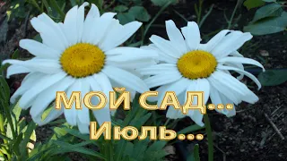 МОЙ САД  ...       Июль  ...          Автор музыки Арсений Якшиянц