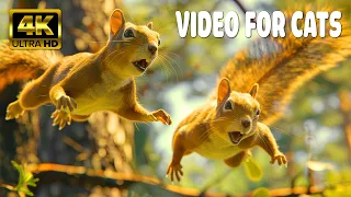 Cat TV for Cats to Watch 😺 Birds Squirrels Chipmunks Ducks Under the Tree 🐿 1 Hours 4K HDR