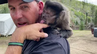 Selway-Bitterroot Wilderness Area - Black Bear Conservation Film Teaser