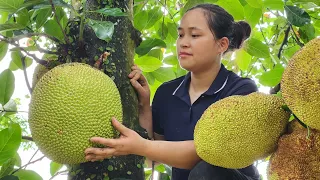 VIDEO FULL: 150 Days Build Garden - Harvest Lychee, Jackfruit, Dragon Fruit, Pumpkin Go market sell