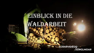 Kleiner Einblick in die Waldarbeit mit Fendt 313 Vario und Yanmar SV100.