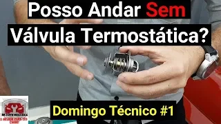 Posso Andar sem Válvula Termostática? Para que Ela Serve? -  Domingo Técnico#1-vídeo nº 272