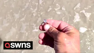 Metal detectorist finds $40,000 diamond ring buried on Florida beach and reunites with owner | SWNS