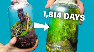 I Made a Free Terrarium 1,814 Days Ago. How Is It?