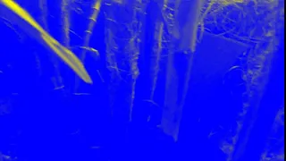 les stroud. bigfoot search video. thermal camera utah 2020