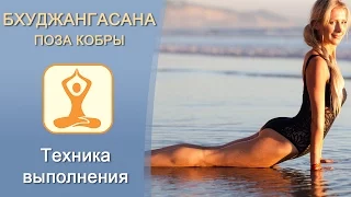 #Бхуджангасана. Поза кобры (змеи). Техника выполнения. Ошибки. Дмитрий Свет