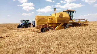 Ahmet Ağa Buğday New Holland 1530 Harvester