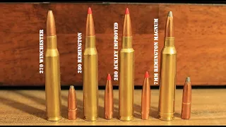 270 vs 280 vs 280 Ackley Improved vs 7mm Rem Mag: What You Should Know