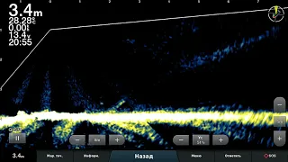 LiveScope     Бойлы,бойлы......