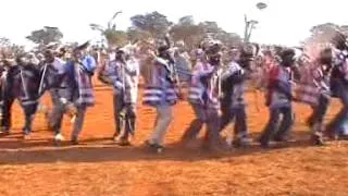 Tshivenda venda Tshikona dance of south africa