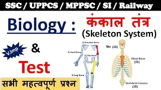 Biology Gk : Skeleton System (कंकाल तंत्र ) | General science For SSC, UPPCS, Police, Railway Exam