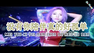 Mei You Ni Pei Ban Zhen De Hao Gu Dan || 没有你陪伴真的好孤单 || Hot Remix Tik Tok || Lirik Terjemahan (DJ抖音版)