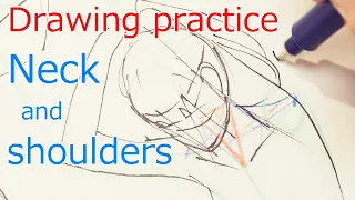 首と肩のワイヤーを描く練習 : Drawing practice  Neck and shoulders