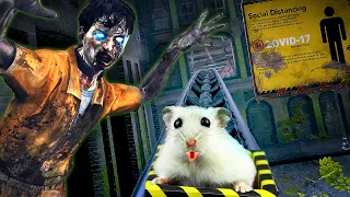 Hamster in Zombie Armageddon Roller Coaster