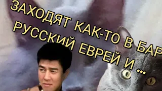 КОТ ВАСЯ ВИДЕО ПРИКОЛЫ