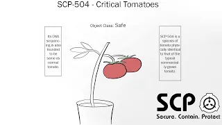 Oversimplified SCP Chapter 5 - SCP-504: Critical Tomatoes (SCP Foundation Comic Dub) (SCP Comic)