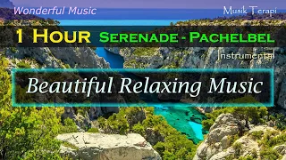 1 Hour Wonderful Relaxing Music (Classical) Serenade - Pachelbel || Vibes Music