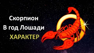 Скорпион в год Лошади - характер