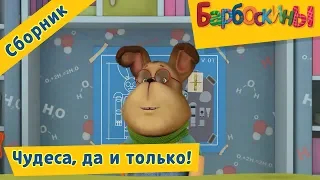 Чудеса, да и только 🤹‍♂️Барбоскины 🎁 Сборник мультфильмов 2018