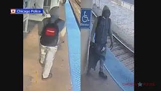 Police seek to identify man who pushed another onto the CTA tracks