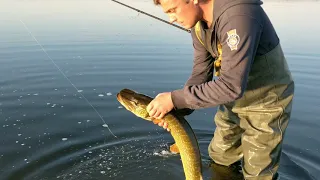 Püüame haugi koos Meelisega EstLandist / Catching pike with Meelis from EstLant